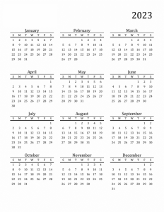 Free Printable 12 Month Calendar on one page 2023