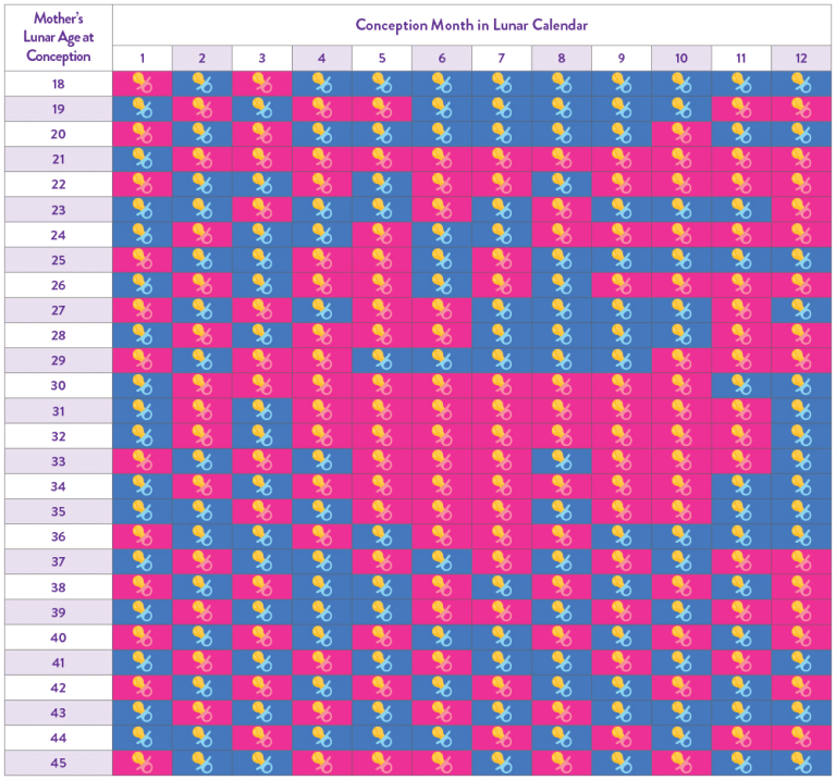 Chinese Birth Calendar 2024 Printable Template