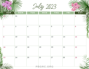 Printable July Calendar 2023 Template with Holidays
