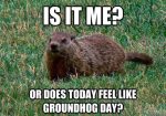 Happy Groundhog Day Memes 2023 with Quotes