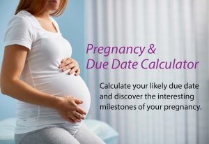 Pregnancy Due Date Calculator Week By Week