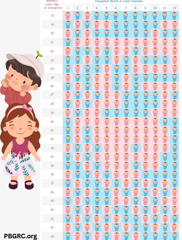 Chinese Gender Calendar 2024 Predicting Your Baby Gender