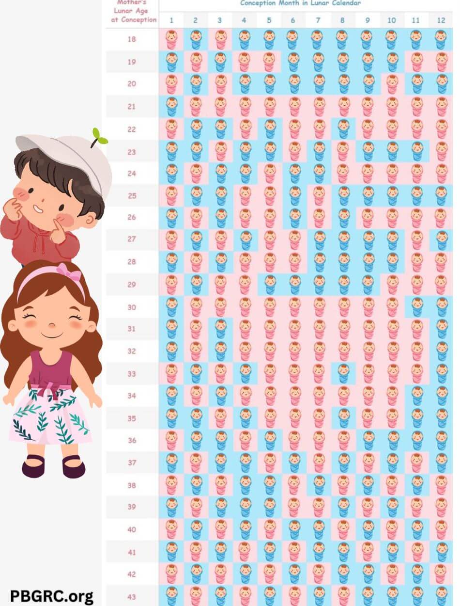 Chinese Gender Calendar 2024 Predicting Your Baby Gender