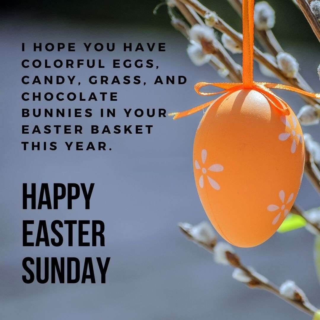 Best Happy Easter Quotes and Sayings (2023)
