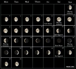 Lunar June 2023 Calendar Moon Phases with Dates