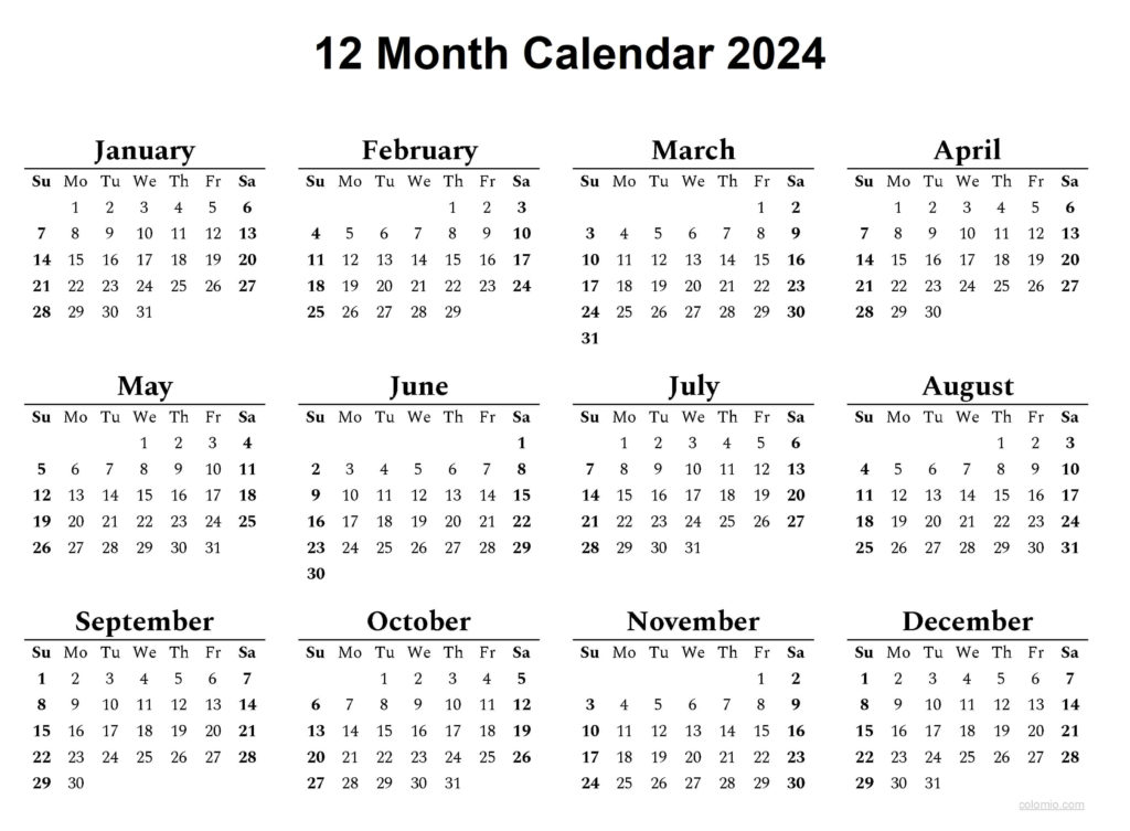 Free Printable 12 Month Calendar on one page 2024