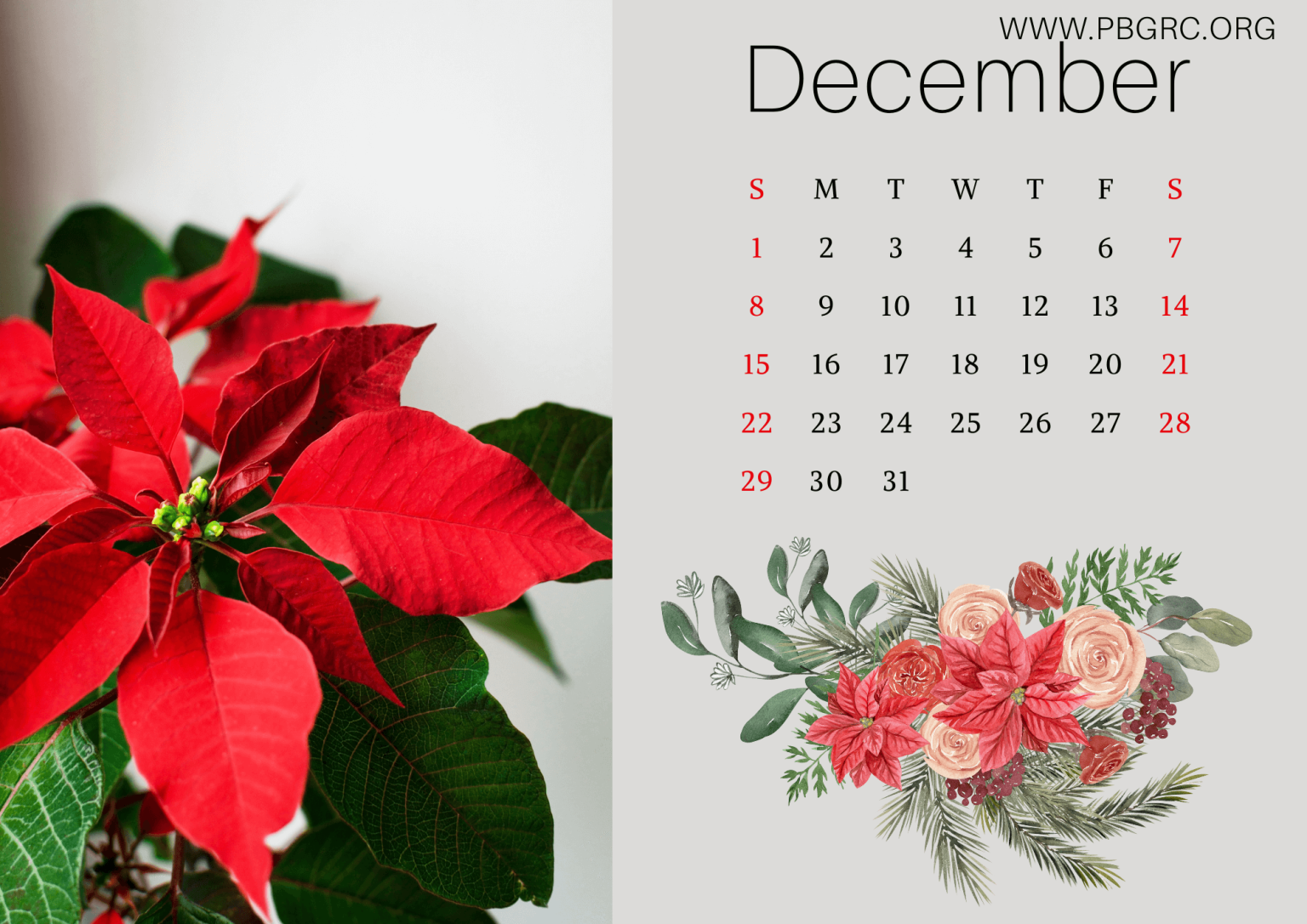 17+ Cute 2024 Floral Calendar Printable Templates