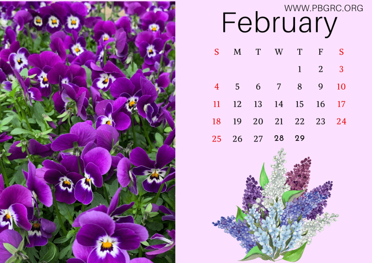 17+ Cute 2024 Floral Calendar Printable Templates