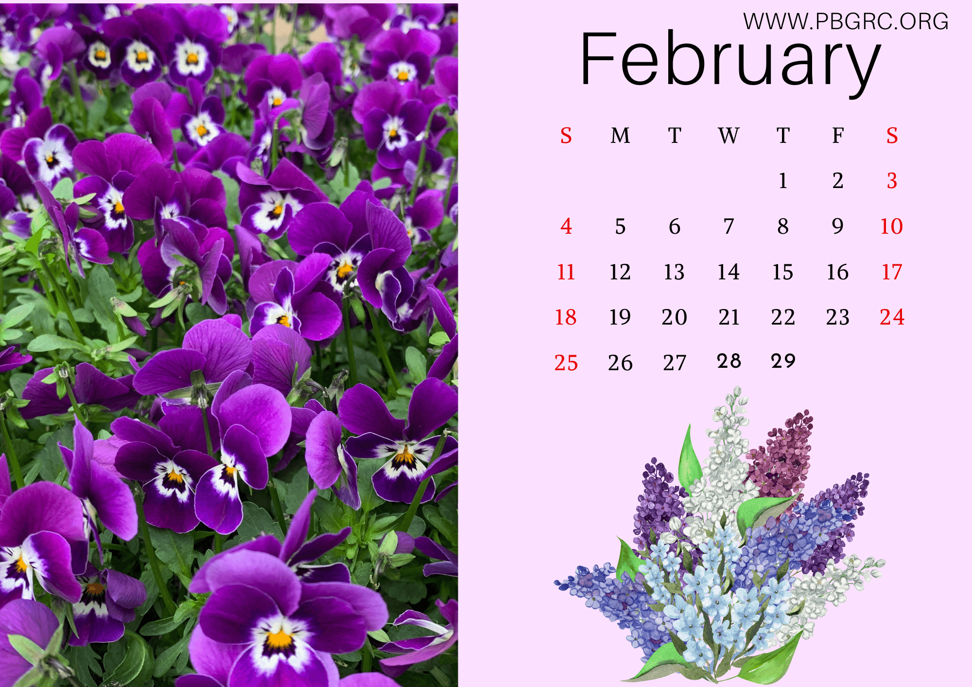 free-february-2022-calendar-template-pdf-and-image-calendar