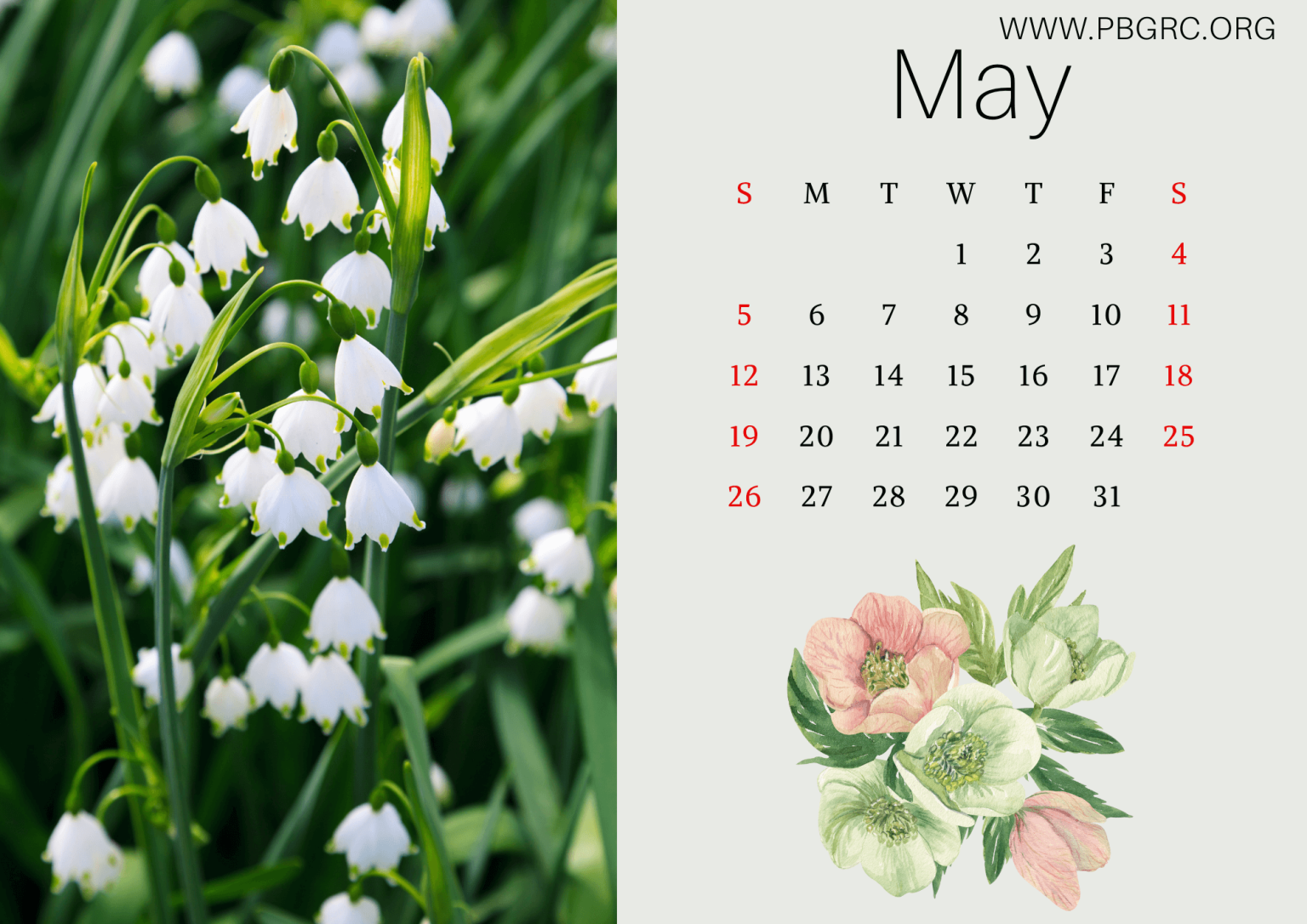 17+ Cute 2024 Floral Calendar Printable Templates