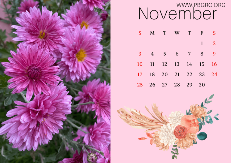 17+ Cute 2024 Floral Calendar Printable Templates