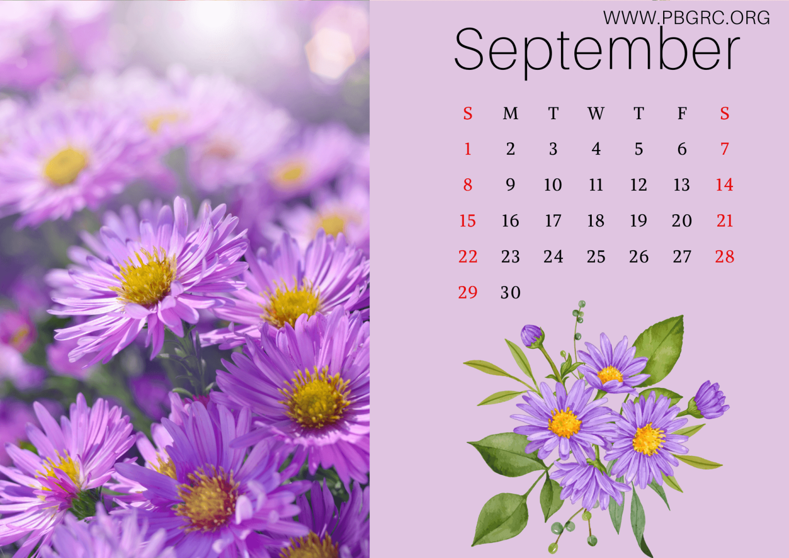 17+ Cute 2024 Floral Calendar Printable Templates