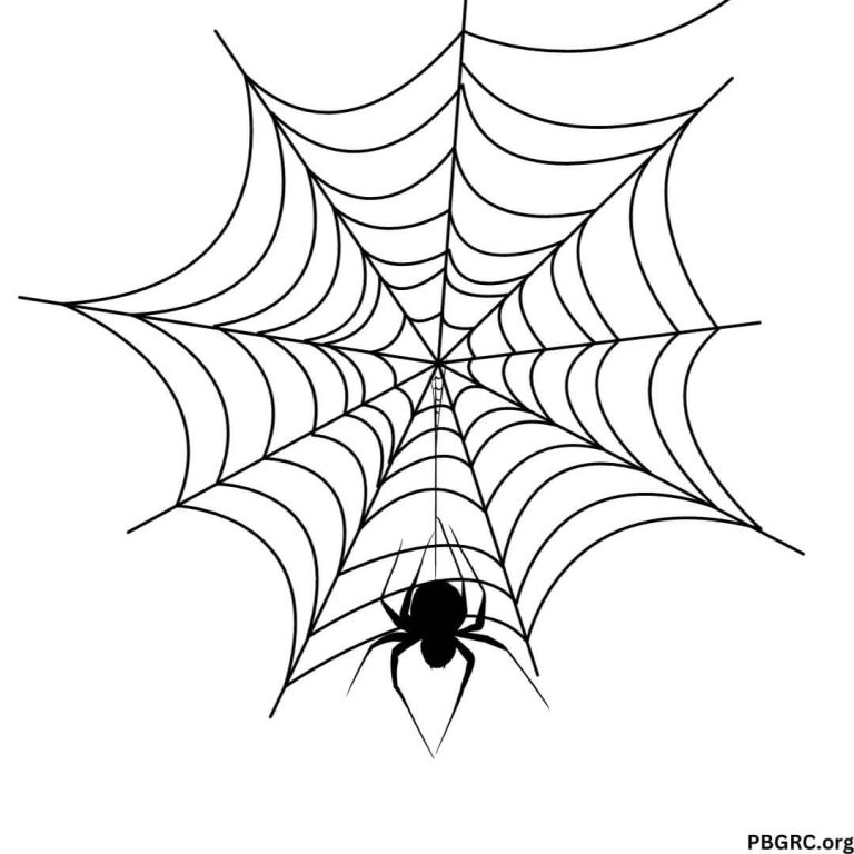 Free Printable Halloween Spider Web Template 2023 For DIY Decoration