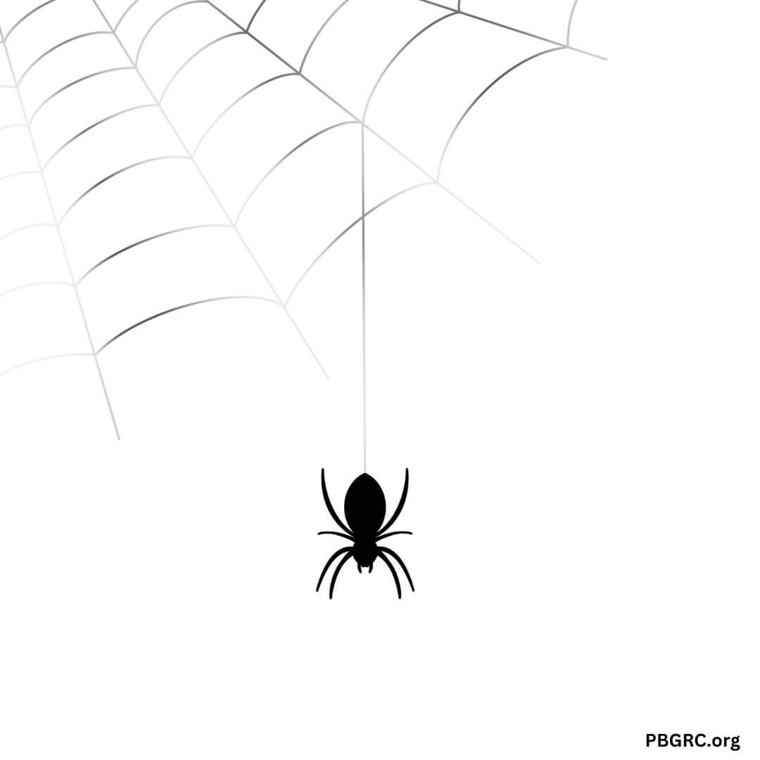 Free Printable Halloween Spider Web Template 2023 For DIY Decoration