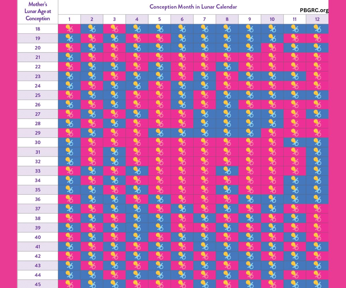 Chinese Gender Calendar 2024 Predicting Your Baby Gender